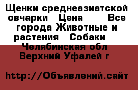 Щенки среднеазиатской овчарки › Цена ­ 1 - Все города Животные и растения » Собаки   . Челябинская обл.,Верхний Уфалей г.